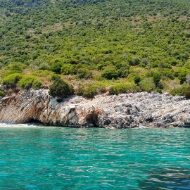 Agia Euphimia