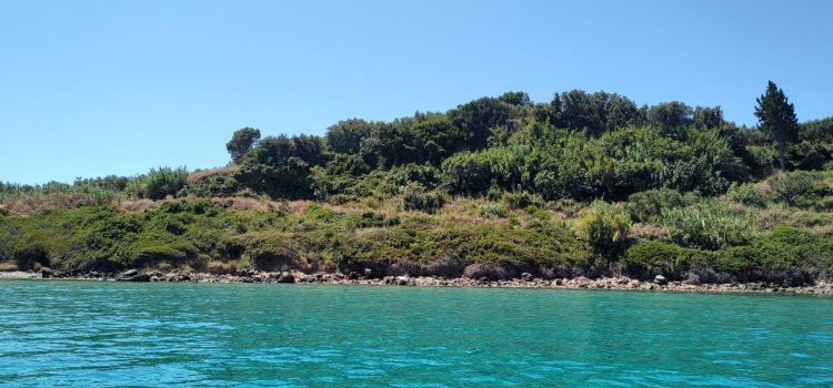 Zante, Zacinto, Zakyntho Zante, Zacinto, Zakyntho