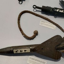 A Trizonia
