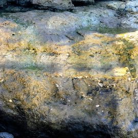 Le osservazioni naturalistiche del marinaio – Mitikas II parte