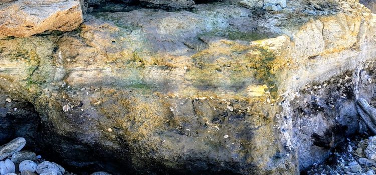 Le osservazioni naturalistiche del marinaio – Mitikas II parte