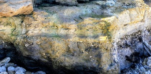 Fossili-I